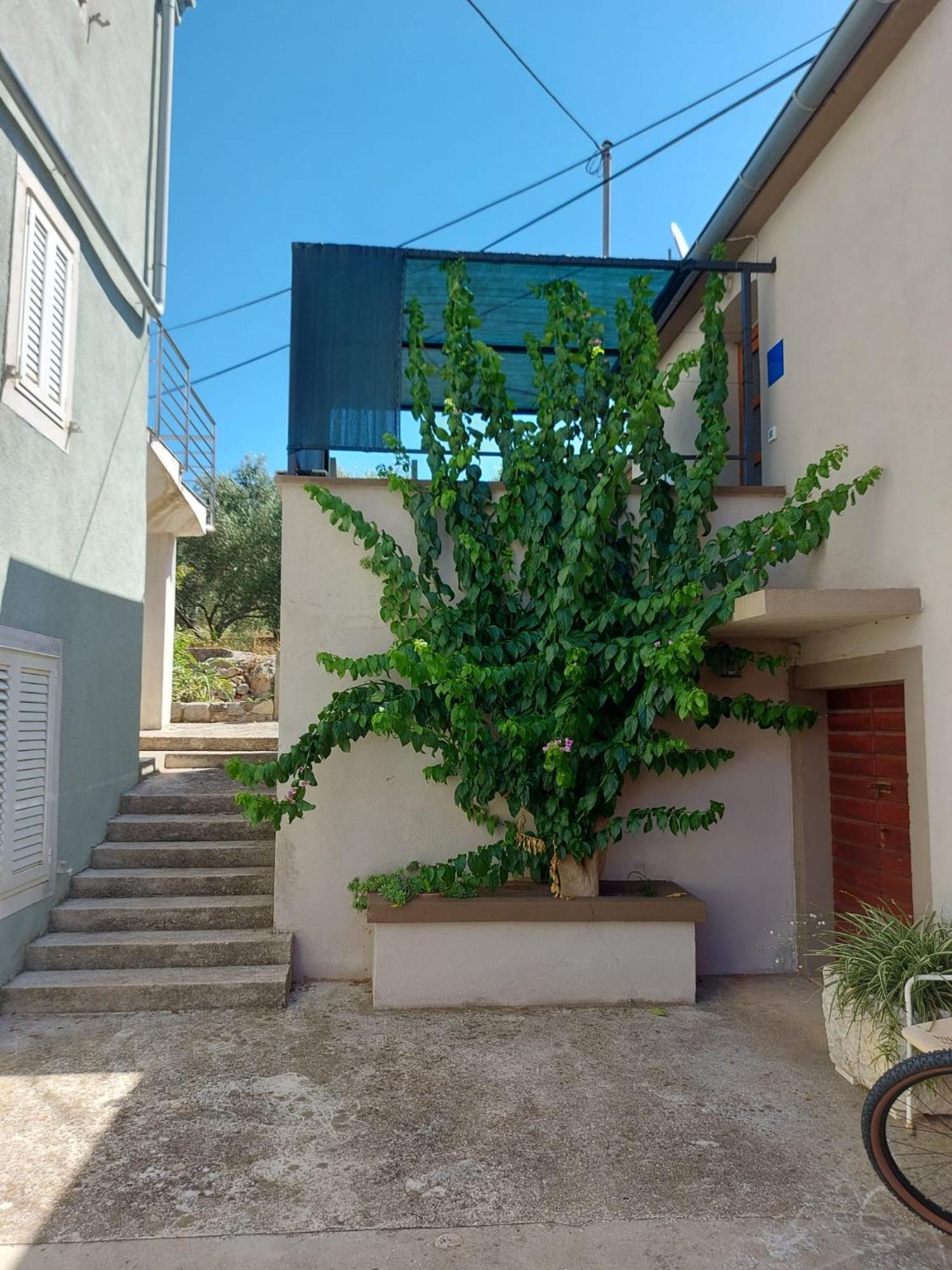 Apartmani Bugenvilija Brbinj Экстерьер фото